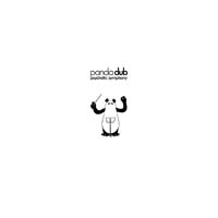 Panda Dub - Psychotic Symphony